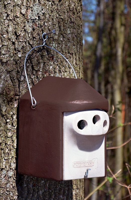 Vogelhaus Nistkasten-Bausatz Robin » Große Auswah Produktbild-Vorschau 2